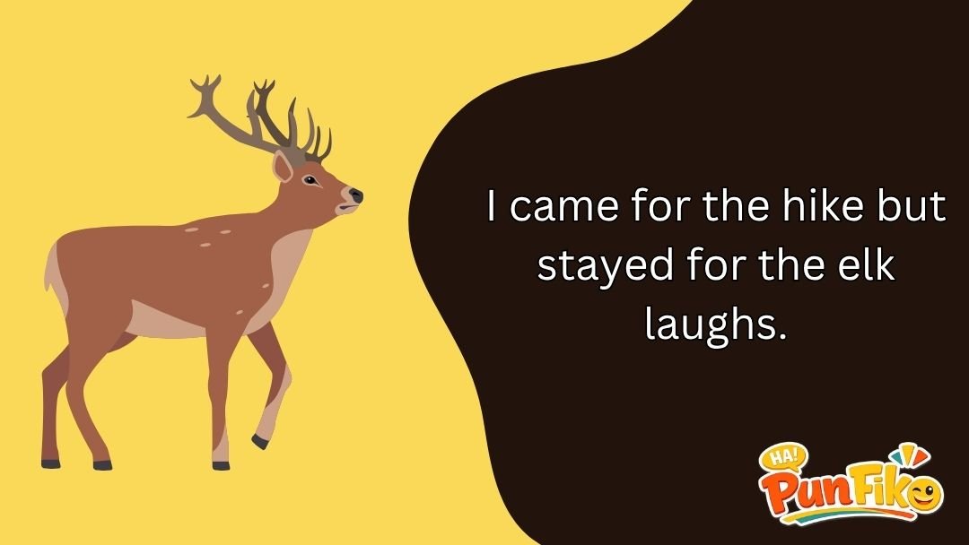 Elk Puns