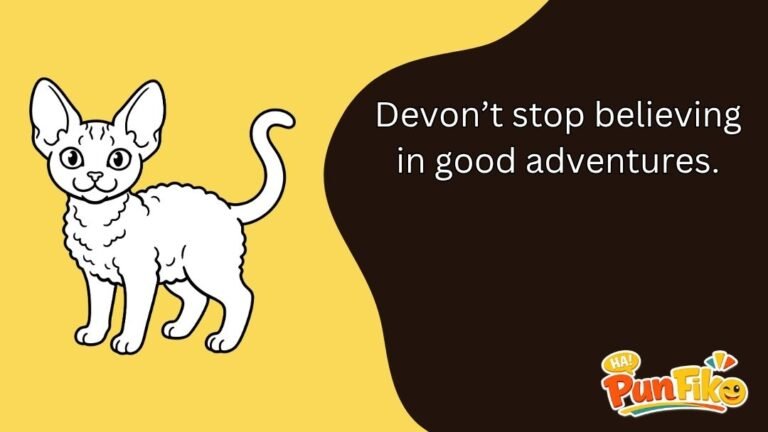 Devon Puns