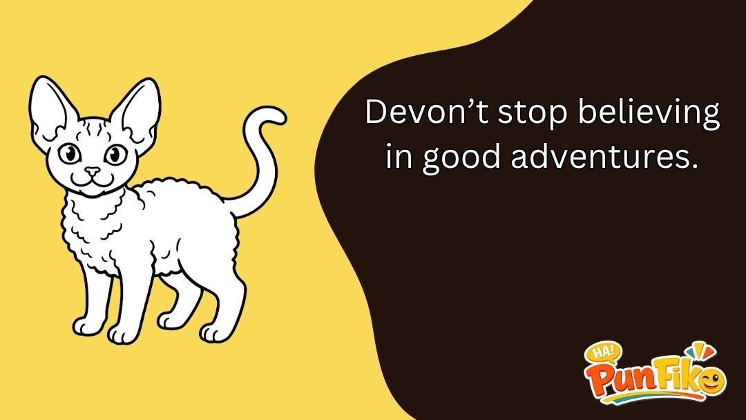 Devon Puns