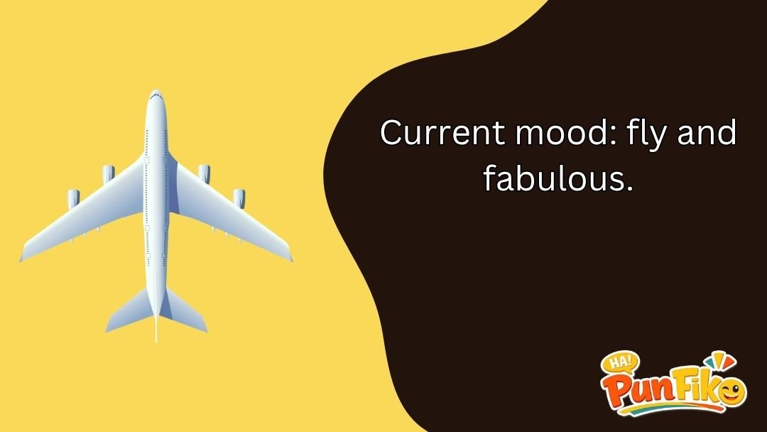 Airplane Puns