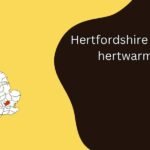Hertfordshire Puns