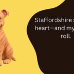 Staffordshire Puns