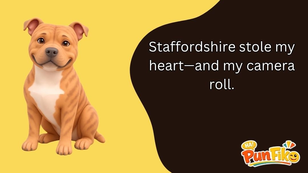 Staffordshire Puns