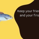 Fish Puns
