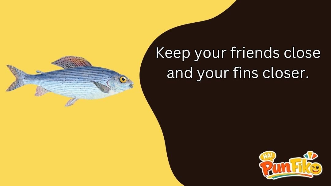 Fish Puns
