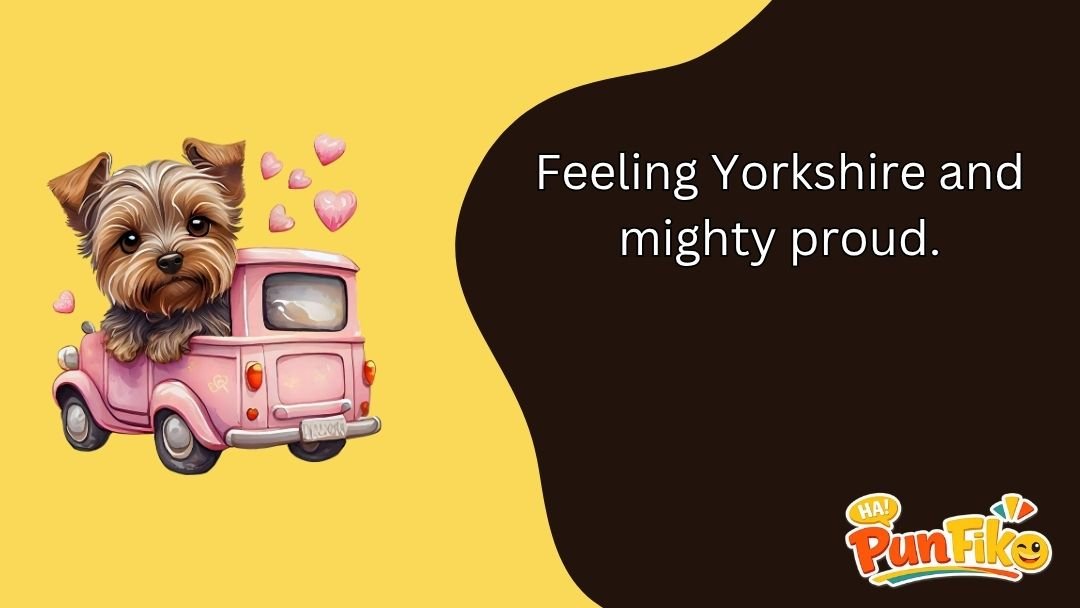 Yorkshire Puns